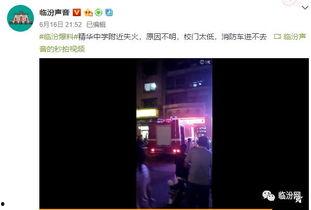 爆料视频怎么发容易火,如何通过爆料视频迅速走红